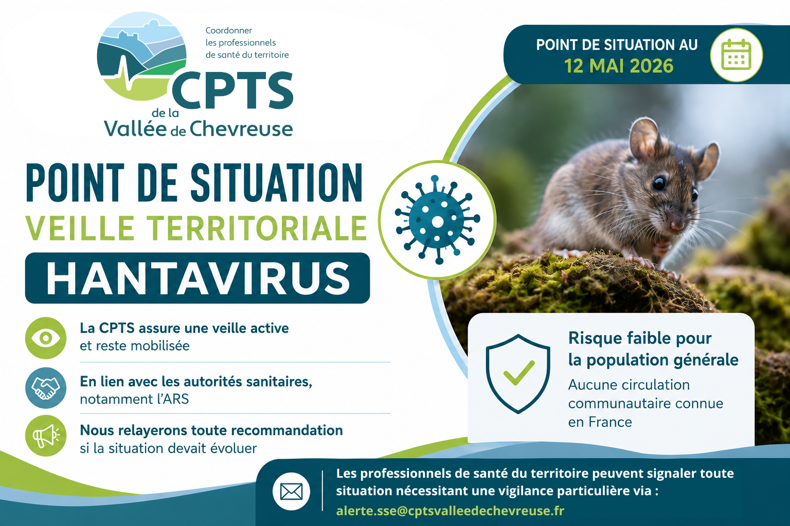 Illustration Article Hantavirus
