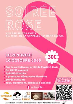 affiche derniere version DEMOIZEN.jpg